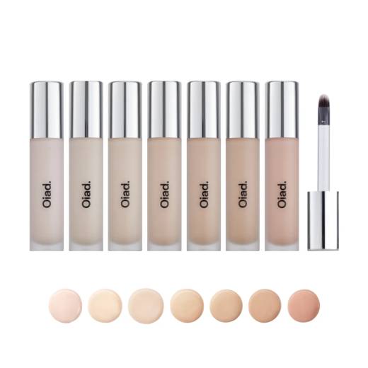 Oiad Cover Perfecting Mirror-Brushed Concealer (6 Colors)