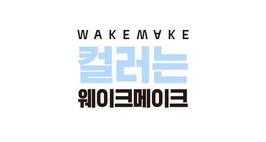 WAKEMAKE Defining Cover Conceal Fit Palette Special Set