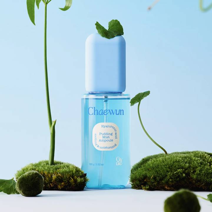 Chaewun Hyaluronic Acid Pudding Mist Ampoule 100g