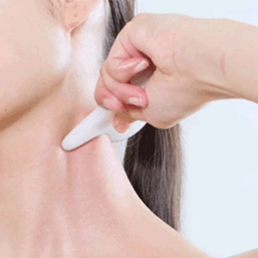 Fillimilli V Face Massager