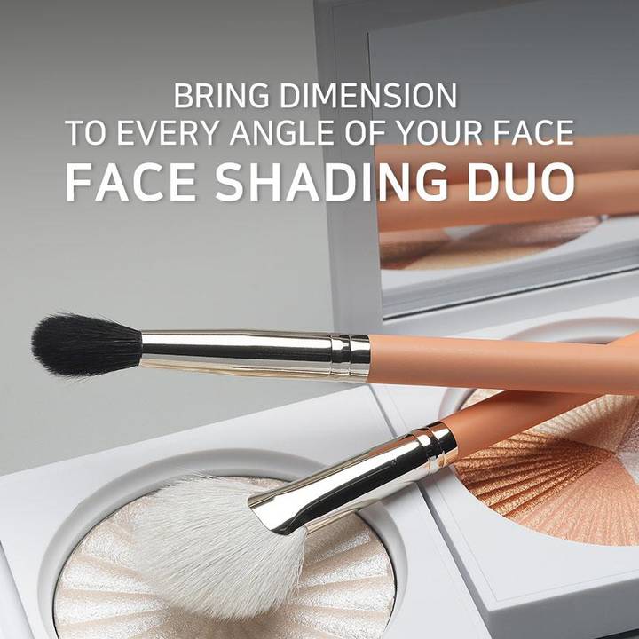 THE TOOL LAB Face Shading Duo (160, 227)