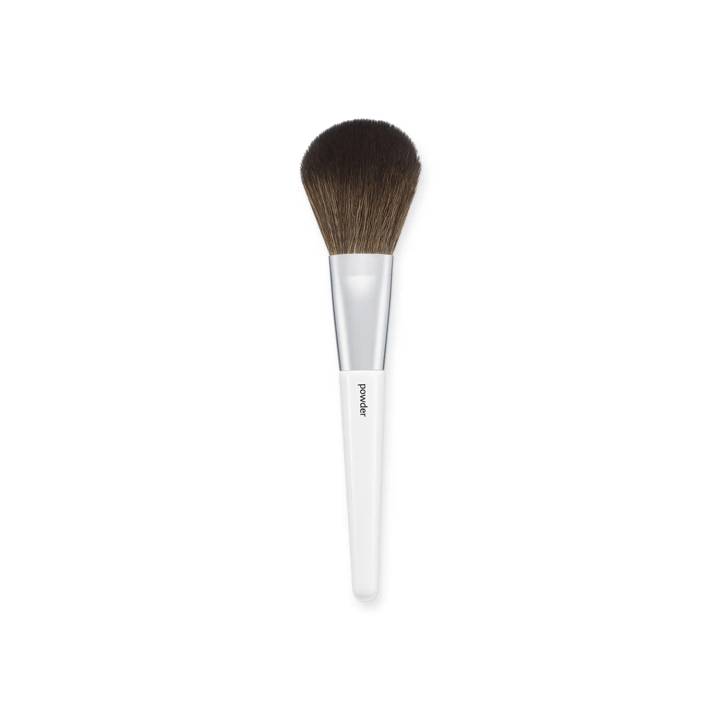 OLIVEYOUNG Basic Powder Brush