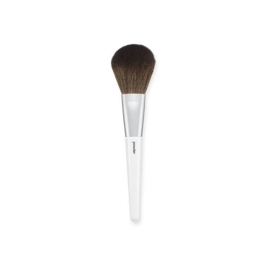 OLIVEYOUNG Basic Powder Brush