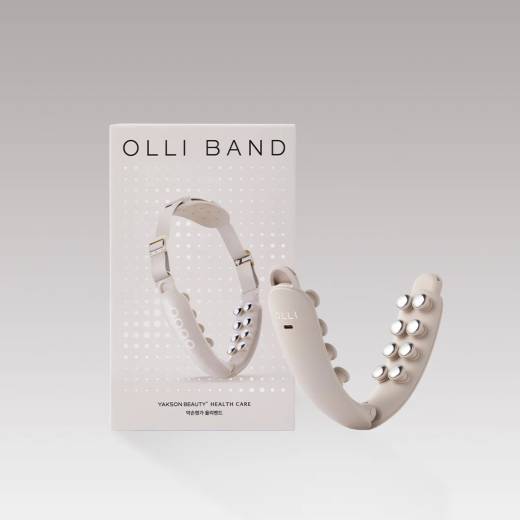 Yakson House OLLI Band